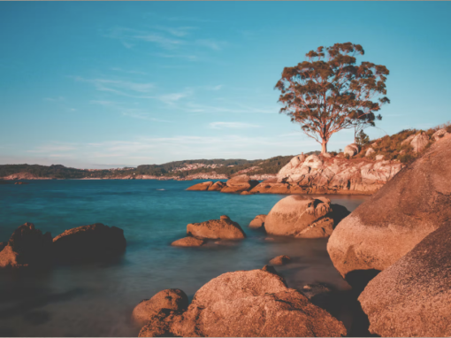 Soulager son stress avec une séance de massage relaxant Renata França à Ensues-la-Redonne Soulager son stress avec une séance de massage relaxant Renata França à Ensues-la-Redonne