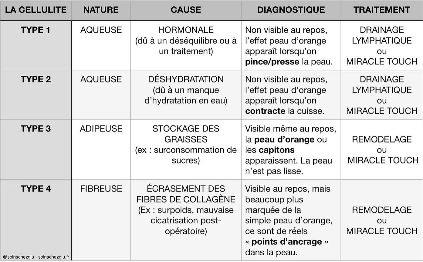 macro shot of vegetable lot